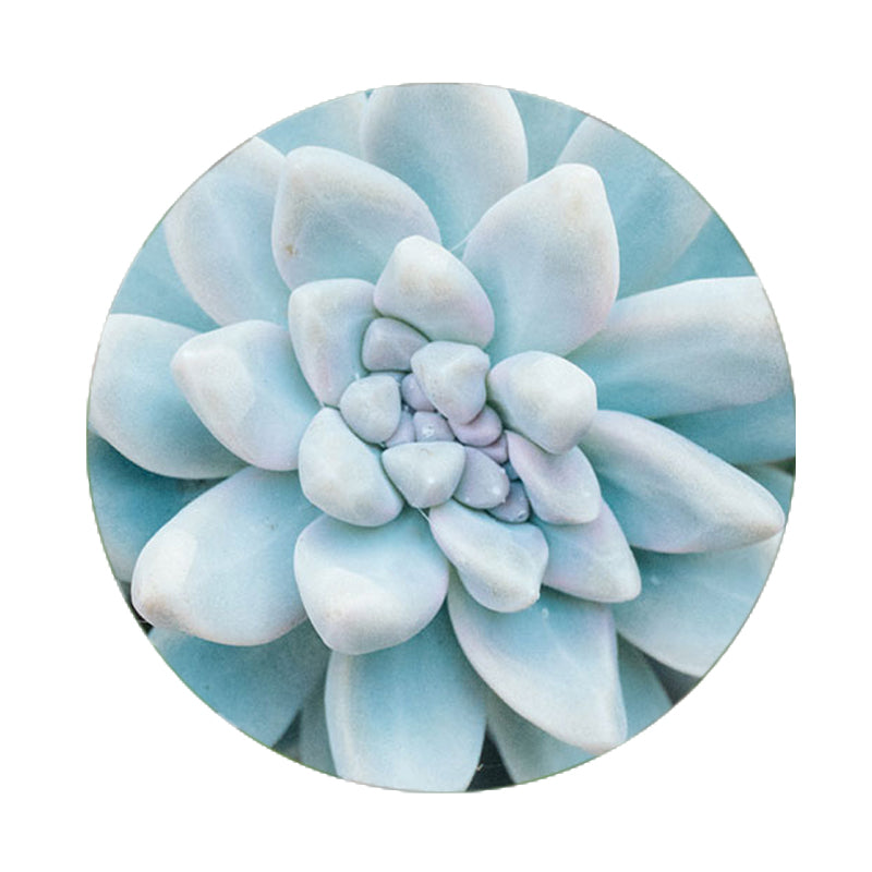 Knee, Ankle and Hip Health