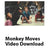 Monkey Moves VIDEO